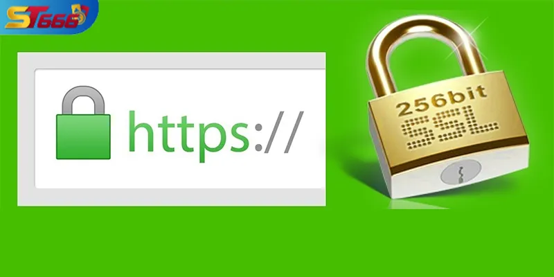 Bảo mật tài khoản ST666 với mã hóa SSL 256-bit